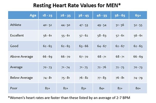 Normal Heart Rate Chart Normal Pulse Rate Chart Heart Rate Training My XXX Hot Girl
