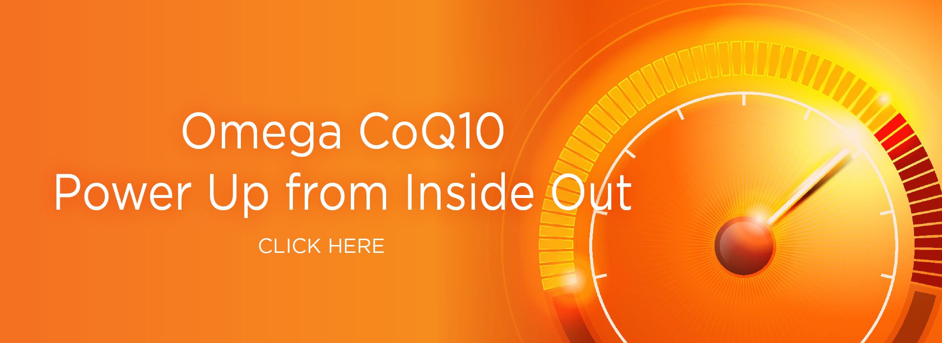 New Image International: Omega CoQ10 Power Up from Inside Out