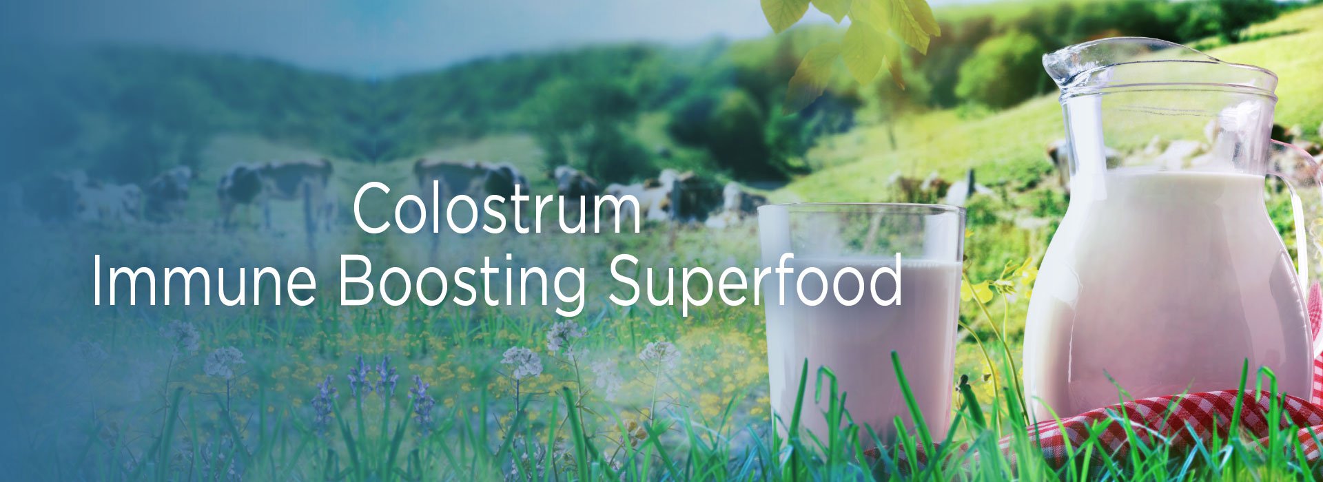 New Image International:Colostrum Immune Boosting Super Food