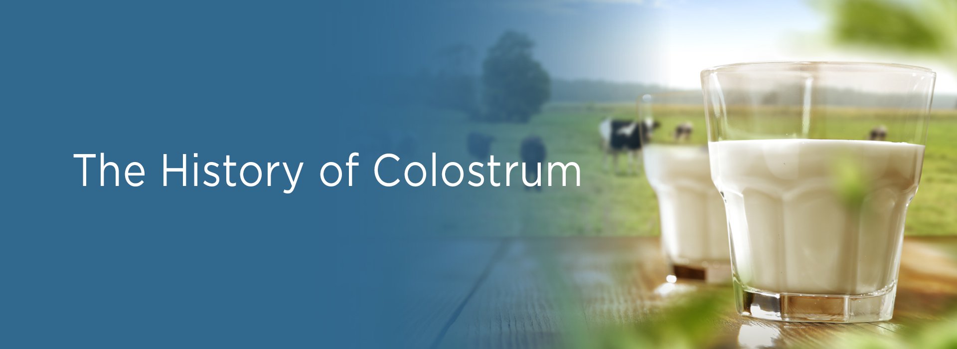 New Image International:The History of Colostrum