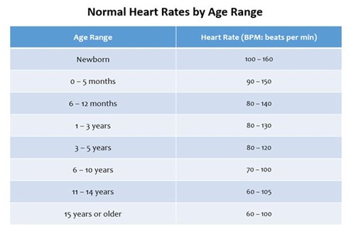 Heart Health: What is a heart for my age? |New International New Zealand